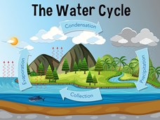 מחזור המים - אנימציה