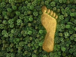 טביעת רגל אקולוגית