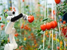 רובוטיקה בחקלאות