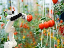 רובוטיקה בחקלאות