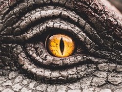 פארק היורה - האם זה אפשרי?