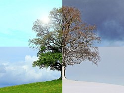 איך נוצרות עונות השנה? TED