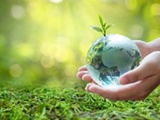 Tips For Helping the Planet 
