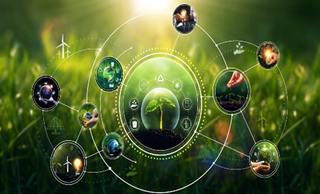 הפדגוגיה של שינוי אקלים