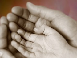 זכויות הילד והילדה, 20.11