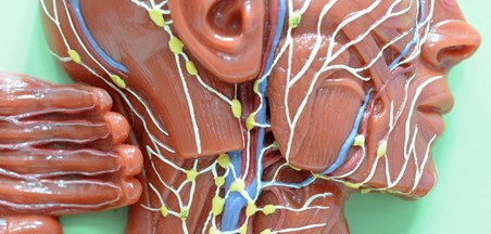 ספרי הלימוד לבחינה החיצונית (70%) במדעי הבריאות