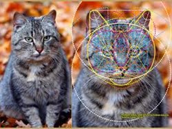 יחס - מירטה לוין