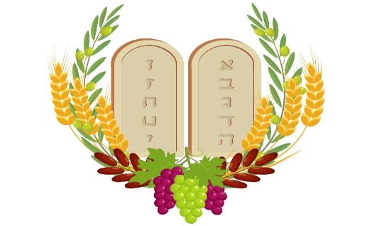 חומש דברים לחינוך המיוחד