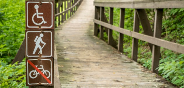 מסלולים ואתרי טבע נגישים