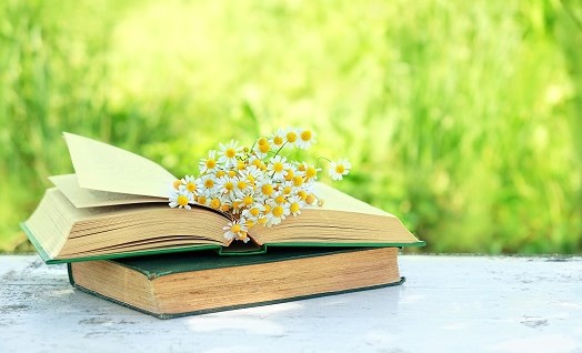 שירה מתורגמת