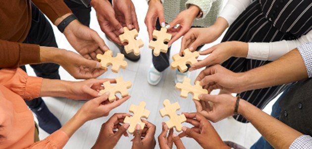 לכידות חברתית וחיים בשותפות