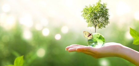 חדש ומתחדש באגף