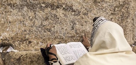 הצעות ליצירות