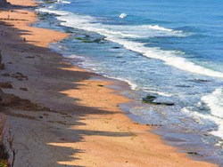 ידיד החולות