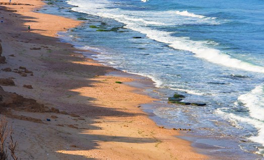 הים והחוף בישראל 