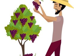 ההצגה "אוכלים", תיאטרון החאן