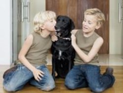 העולם על פי גיא ותום - אחריות