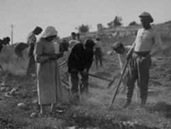 חדשות מהעבר, עיירות פיתוח