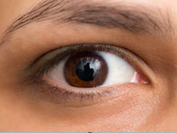 אפסילון: לראות את הקול