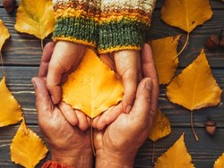 יחסי גומלין אדם סביבה