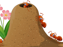 כוחה של קבוצה