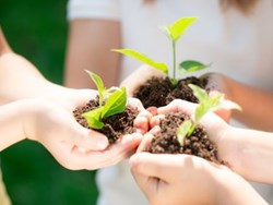 כך הולכים השותלים (קריוקי)