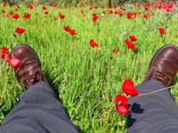 וכי תבואו אל הארץ