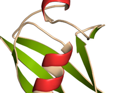 פרופ' אברהם הרשקו