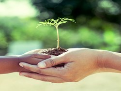 كيف نحاظ على البيئة