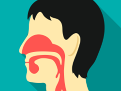 מערכת הנשימה