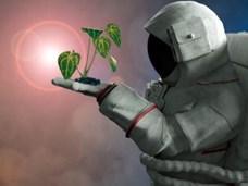נאס"א: צמחים בחלל