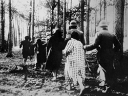 הפתרון הסופי, רואים היסטוריה