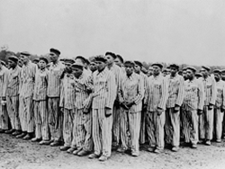 שלבים בפתרון הסופי, יד ושם