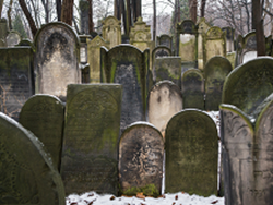 הניצול האחרון מטרבלינקה, גלצ