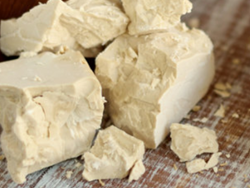 בוחרות במדע, שמרים