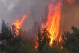 שרפות יער באמזונס, 2019