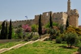 תנ"ך בחרוזים – ירושלים הופכת לבירת ישראל (כיתות ג-ו)