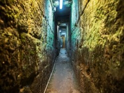 נקבת השילוח