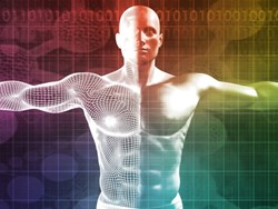 גלילאו: שיאי גוף האדם