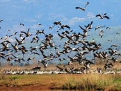 70 שנות סביבה בישראל