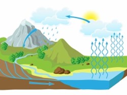 دورة المياه في الطبيعة