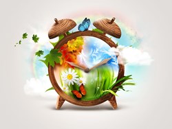 שנים עשר ירחים, נעמי שמר