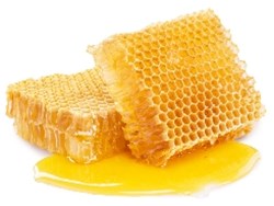 Honey Bees