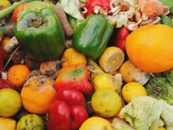 המערכת: אובדן מזון