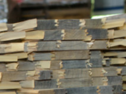 מדען עם פרופ' דן: תכונות החומר