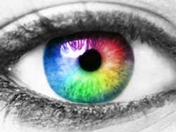 תחום הסיסטמטיקה בראיה אבולוציונית