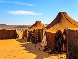 בראשית טז-כ, 929