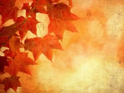 ظواهر فصل الخريف