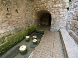 עיר דוד ומעיין הגיחון