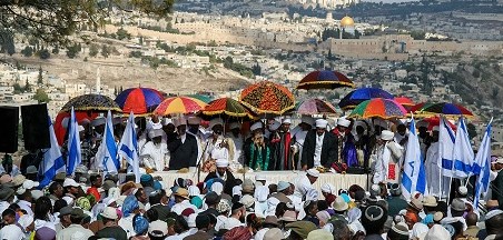 סיגד